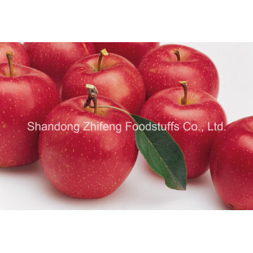 Китайский Свежий Красный Вкусный Яблочный